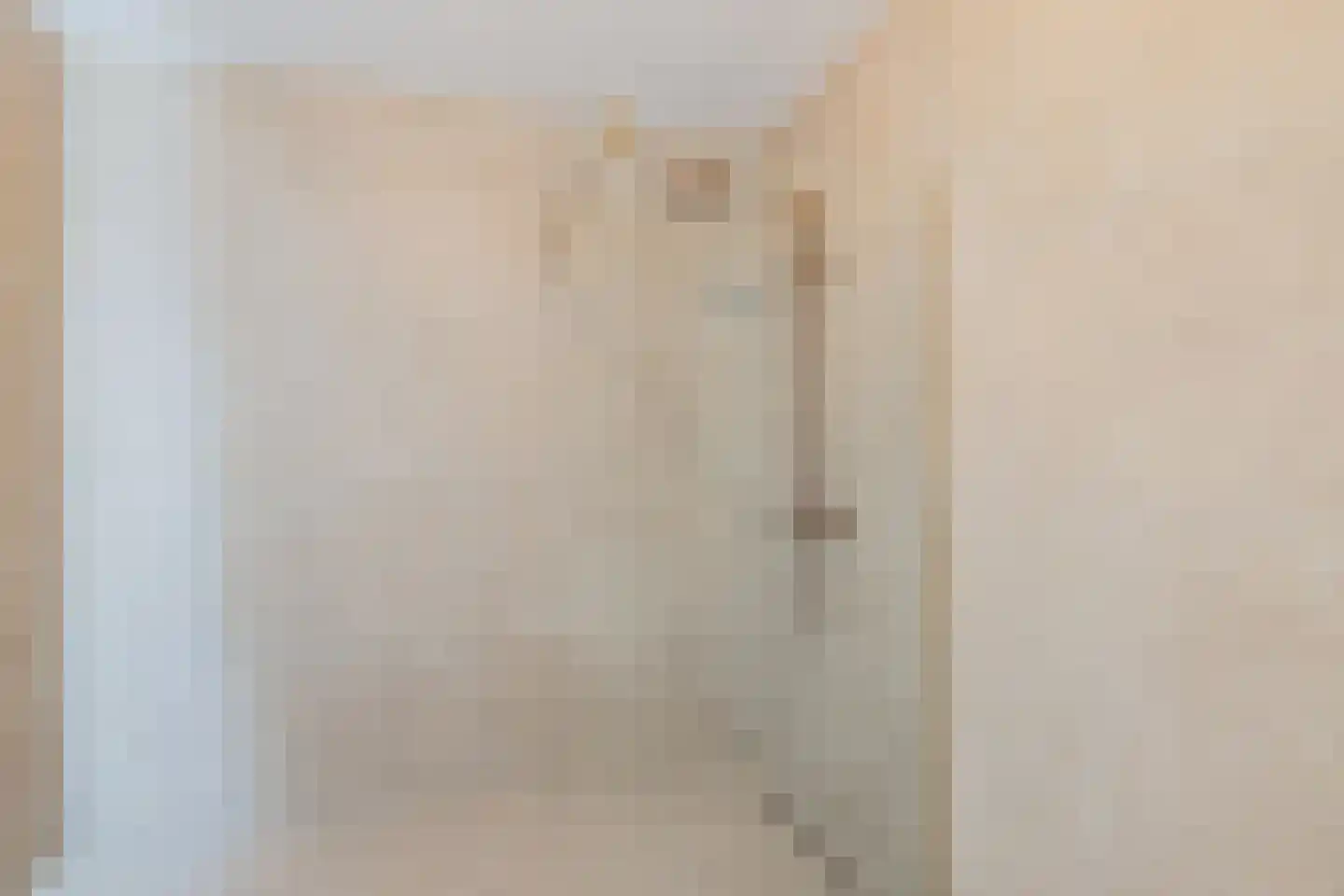 Pretoriadreef 39 Utrecht thumbnail 34
