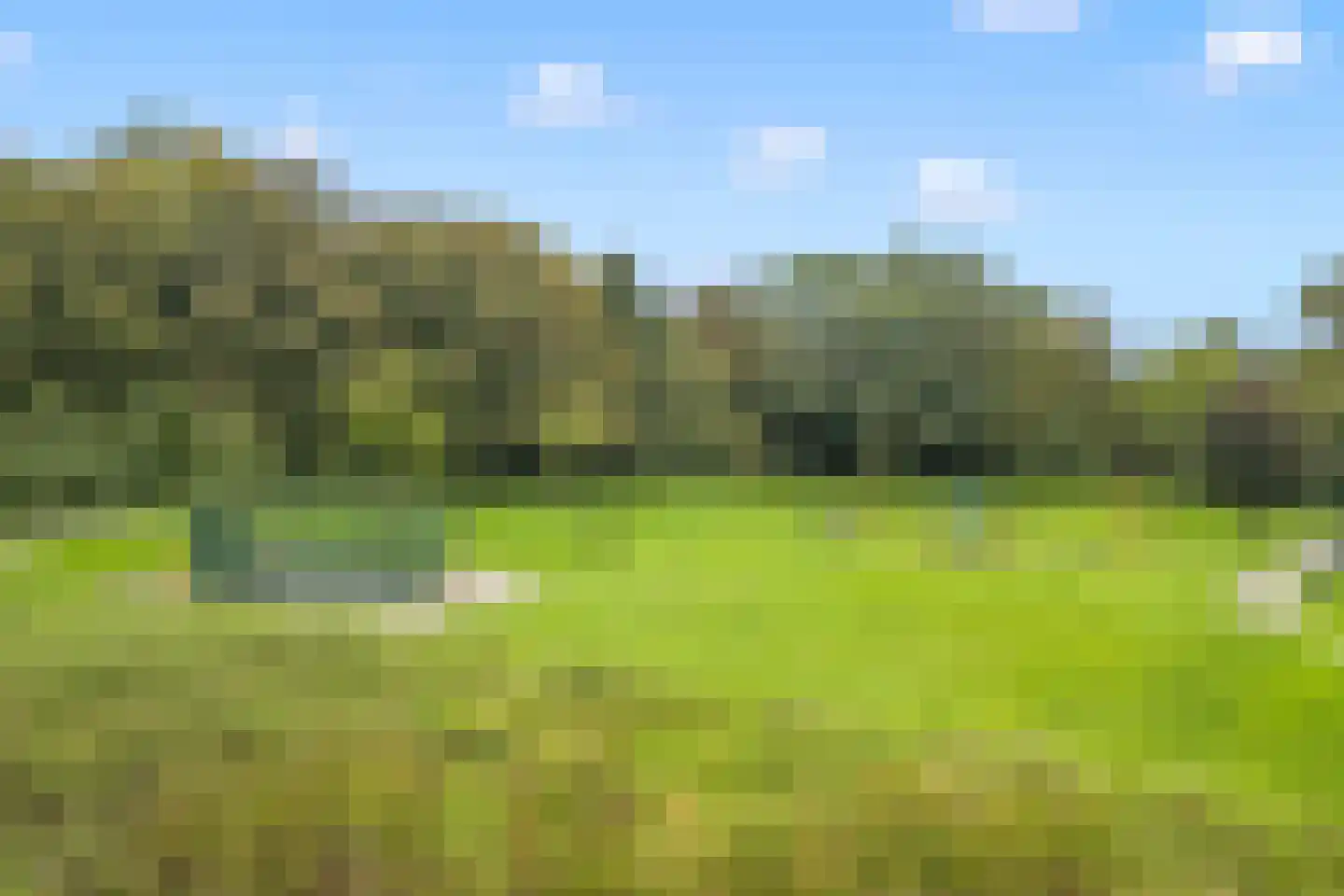 Pretoriadreef 39 Utrecht thumbnail 51