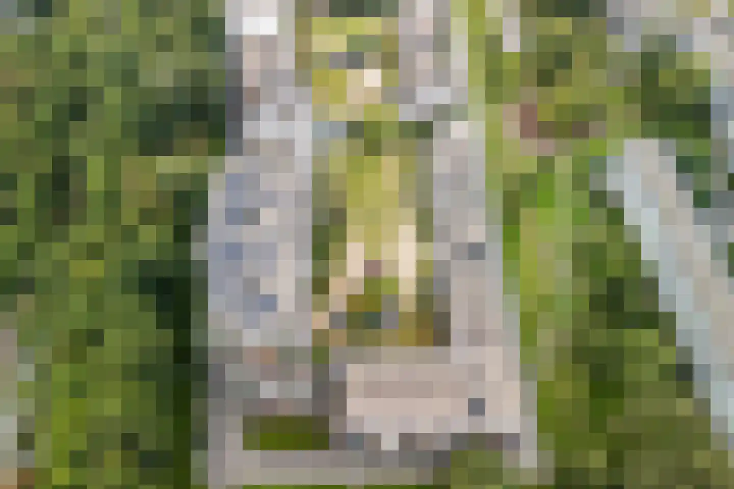 Pretoriadreef 39 Utrecht thumbnail 52