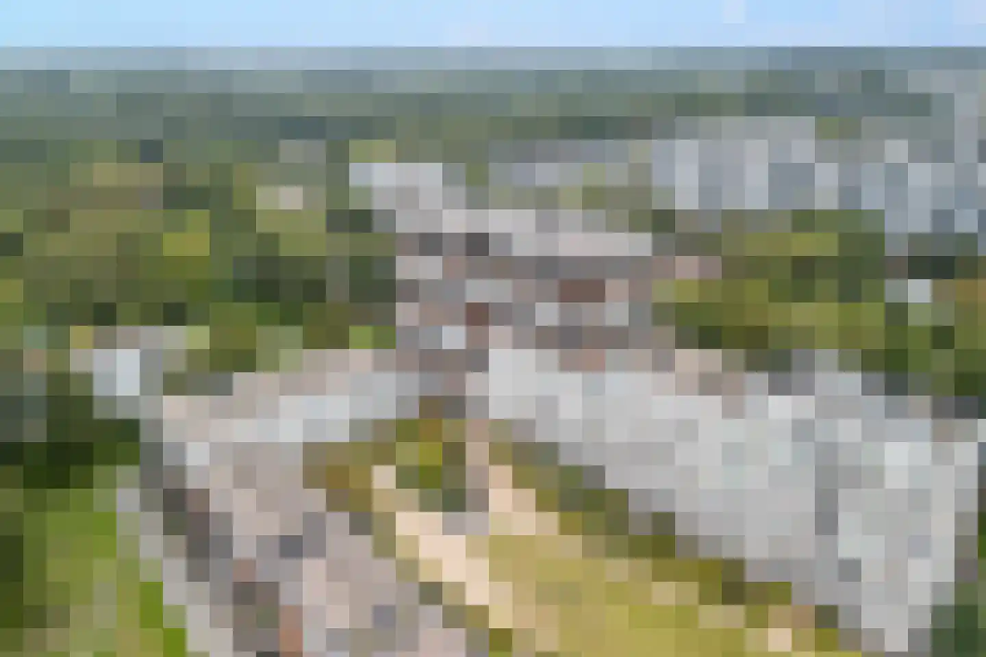 Pretoriadreef 39 Utrecht thumbnail 53