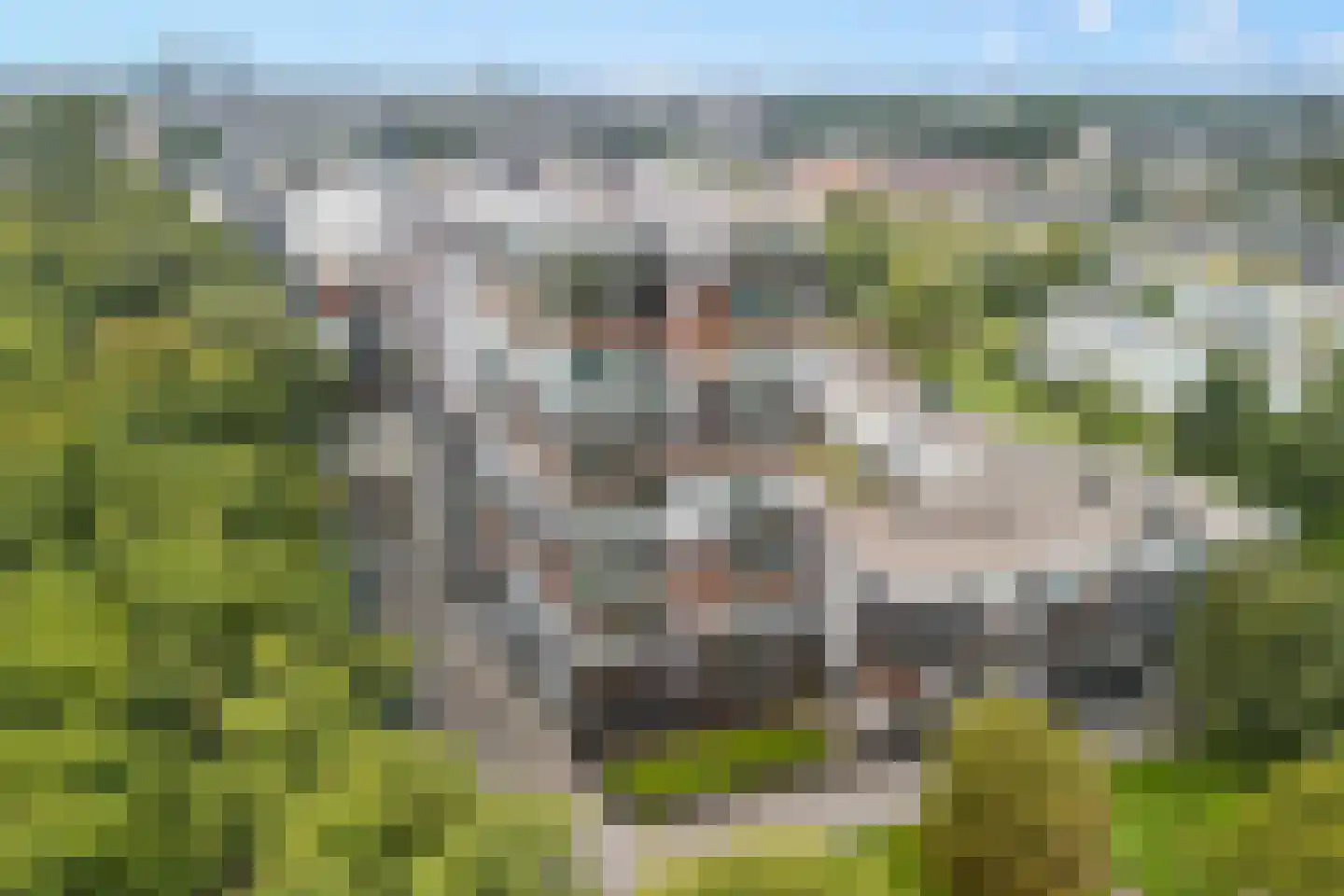 Pretoriadreef 39 Utrecht thumbnail 6