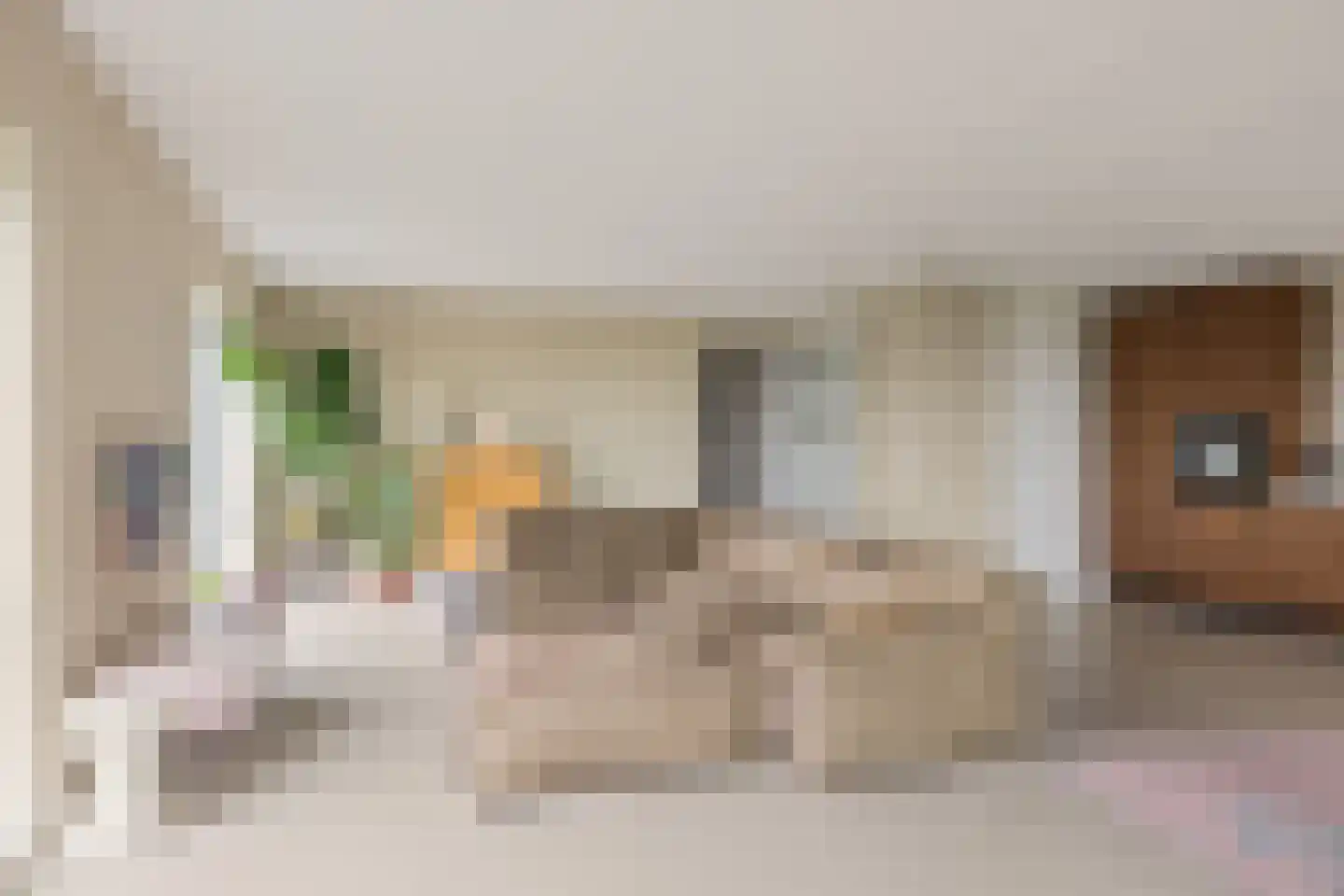 Pretoriadreef 39 Utrecht thumbnail 7