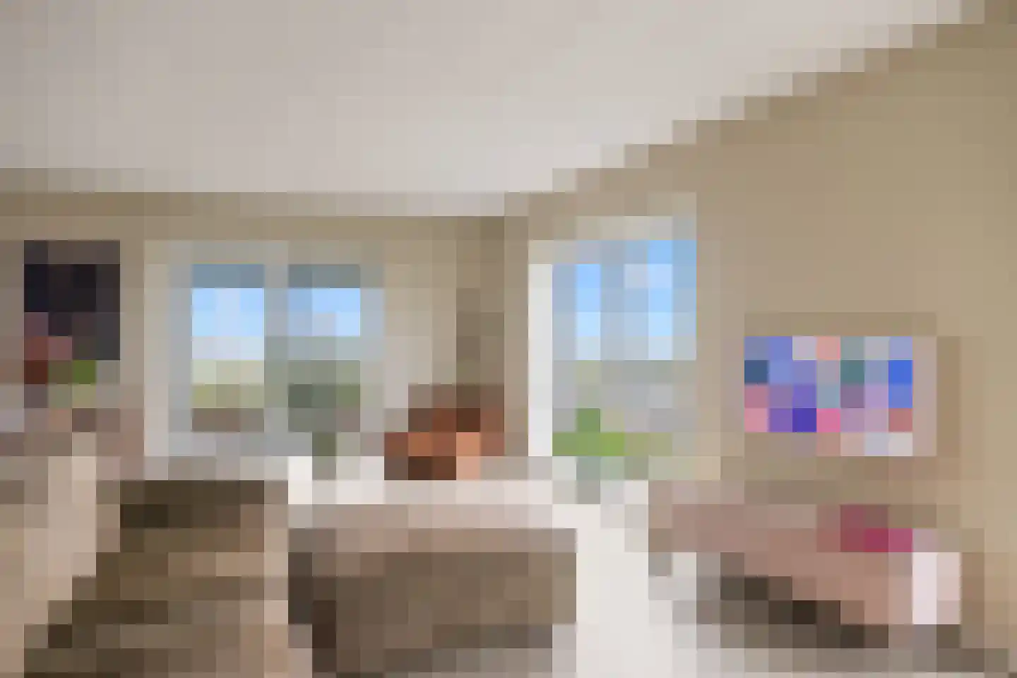 Pretoriadreef 39 Utrecht thumbnail 9