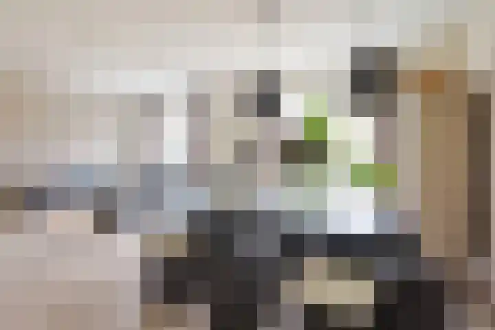 Pretoriadreef 5 Utrecht thumbnail 10