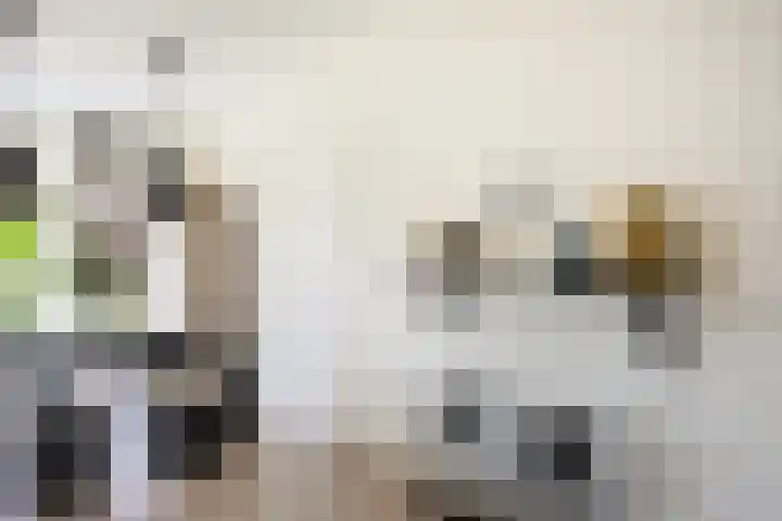 Pretoriadreef 5 Utrecht thumbnail 14