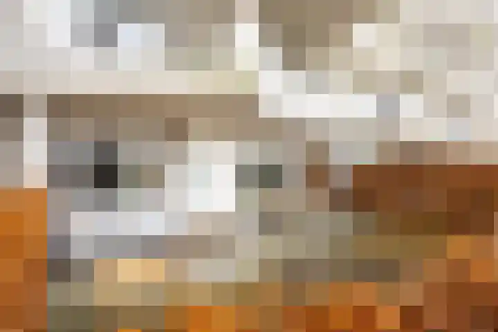 Pretoriadreef 5 Utrecht thumbnail 32