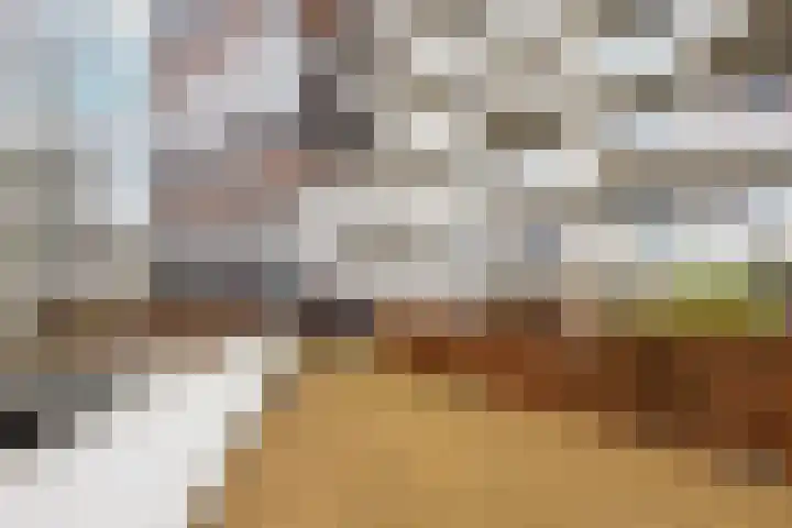 Pretoriadreef 5 Utrecht thumbnail 37