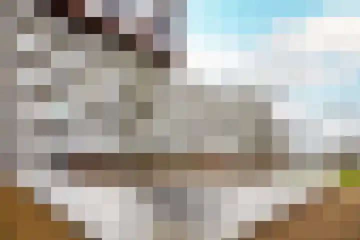 Pretoriadreef 5 Utrecht thumbnail 38