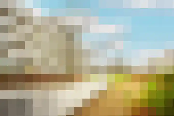 Pretoriadreef 5 Utrecht thumbnail 39