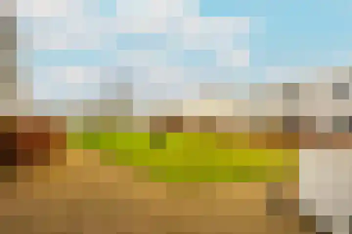 Pretoriadreef 5 Utrecht thumbnail 40