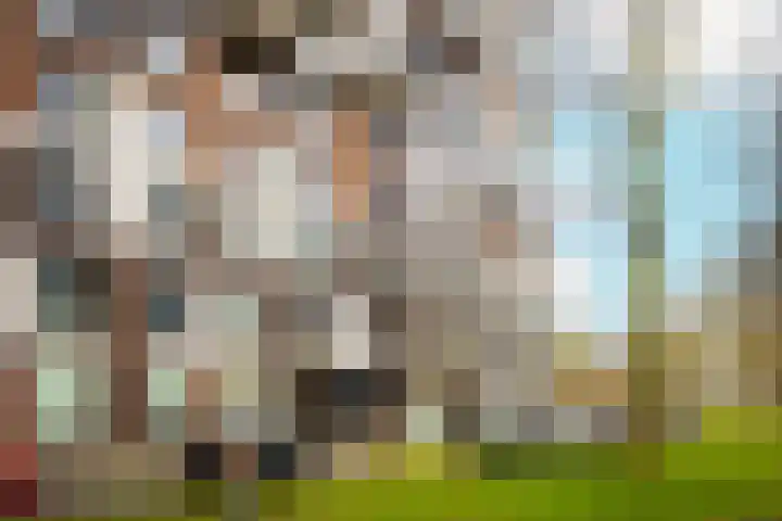 Pretoriadreef 5 Utrecht thumbnail 43