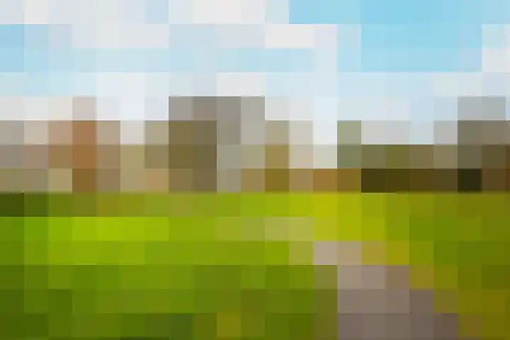 Pretoriadreef 5 Utrecht thumbnail 44
