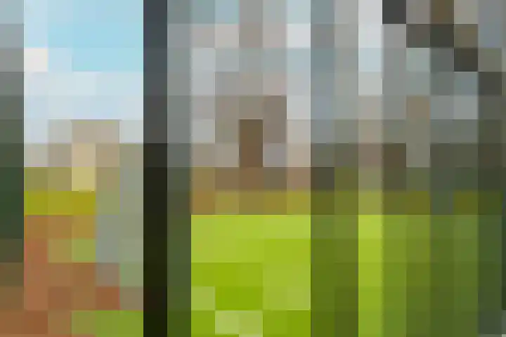 Pretoriadreef 5 Utrecht thumbnail 46