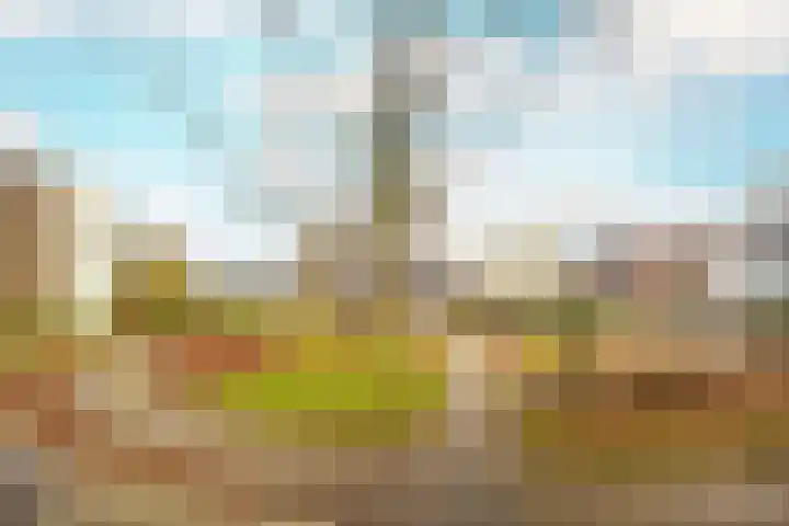 Pretoriadreef 5 Utrecht thumbnail 47