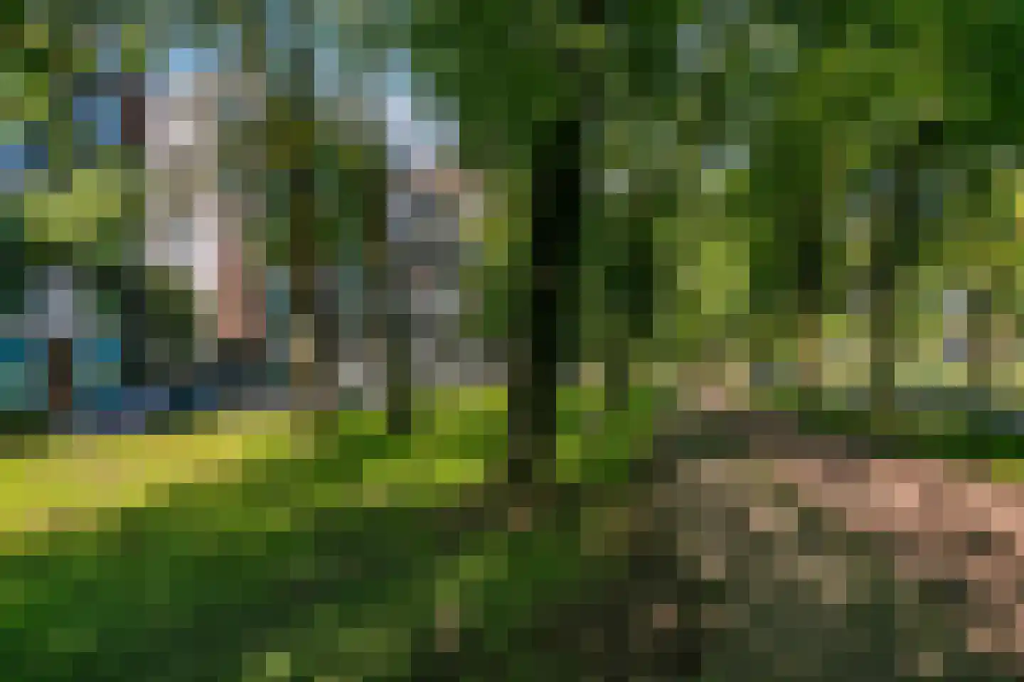 Pretoriadreef 64 Utrecht thumbnail 28