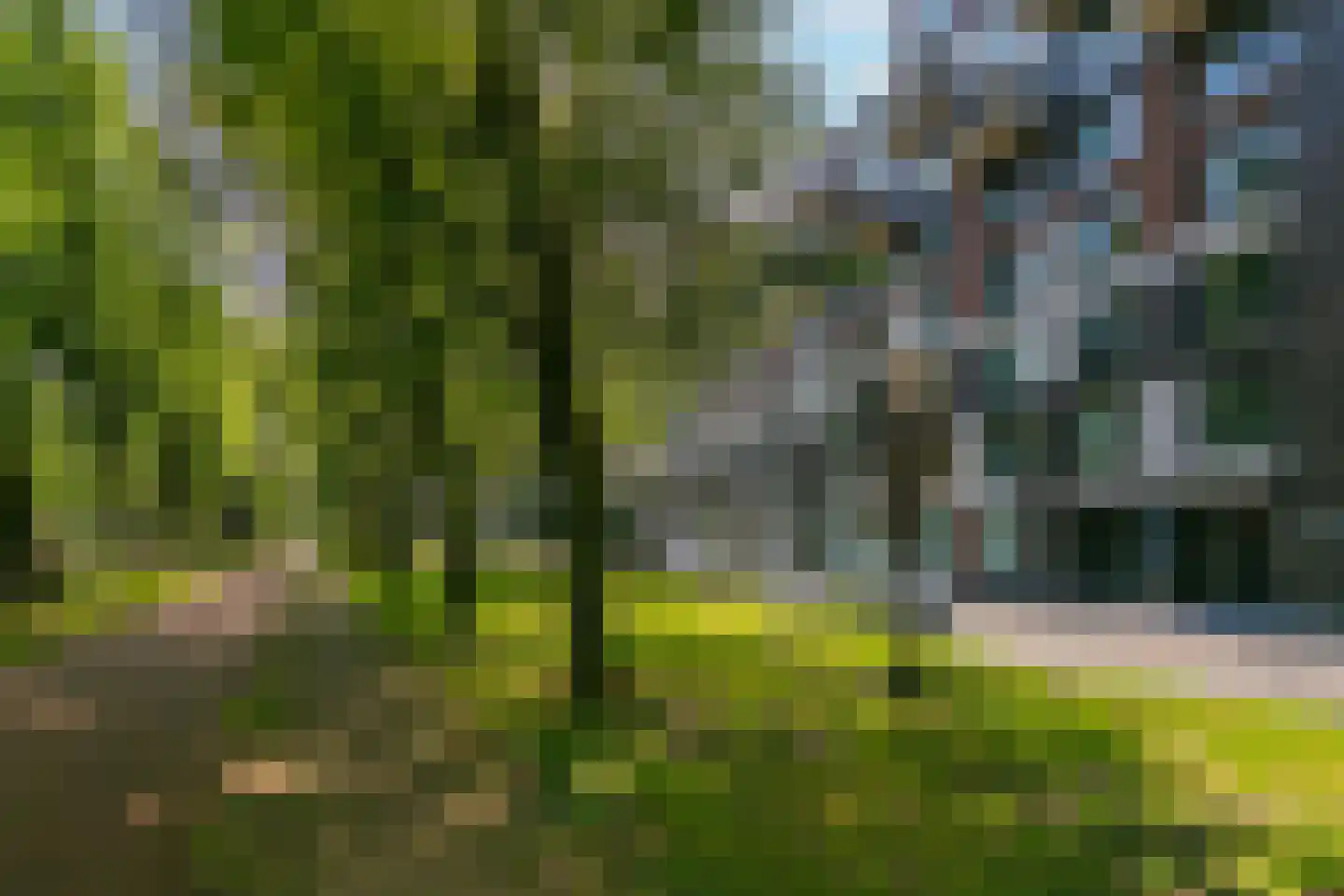 Pretoriadreef 64 Utrecht thumbnail 31