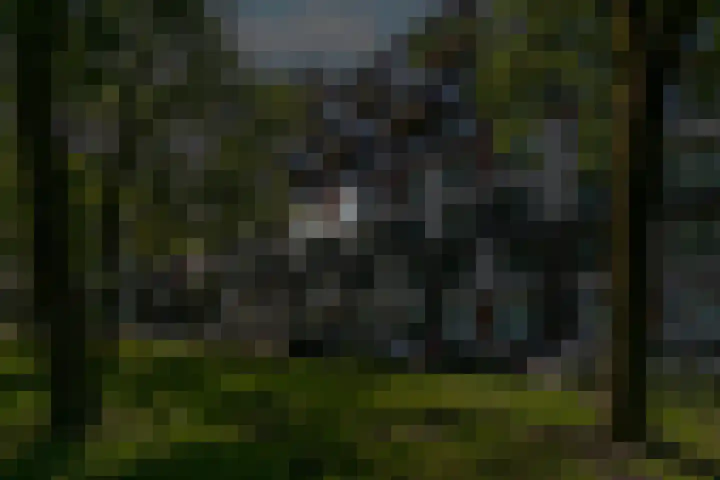 Pretoriadreef 64 Utrecht thumbnail 32