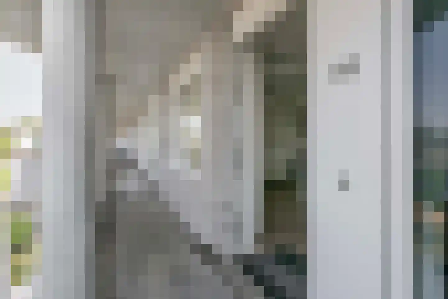 Pretoriadreef 64 Utrecht thumbnail 5