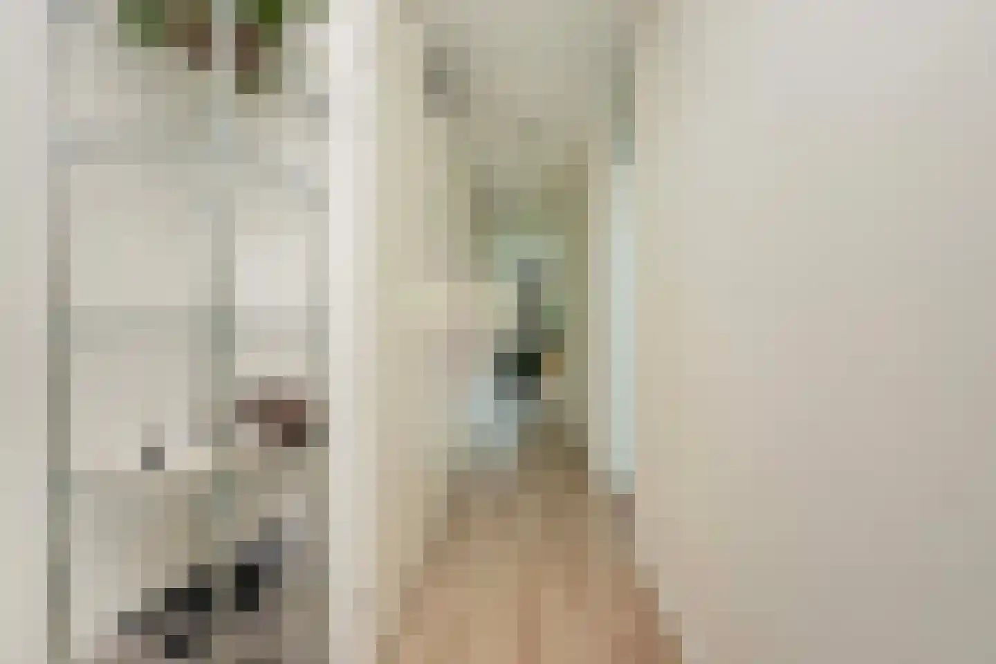 Pretoriadreef 64 Utrecht thumbnail 7