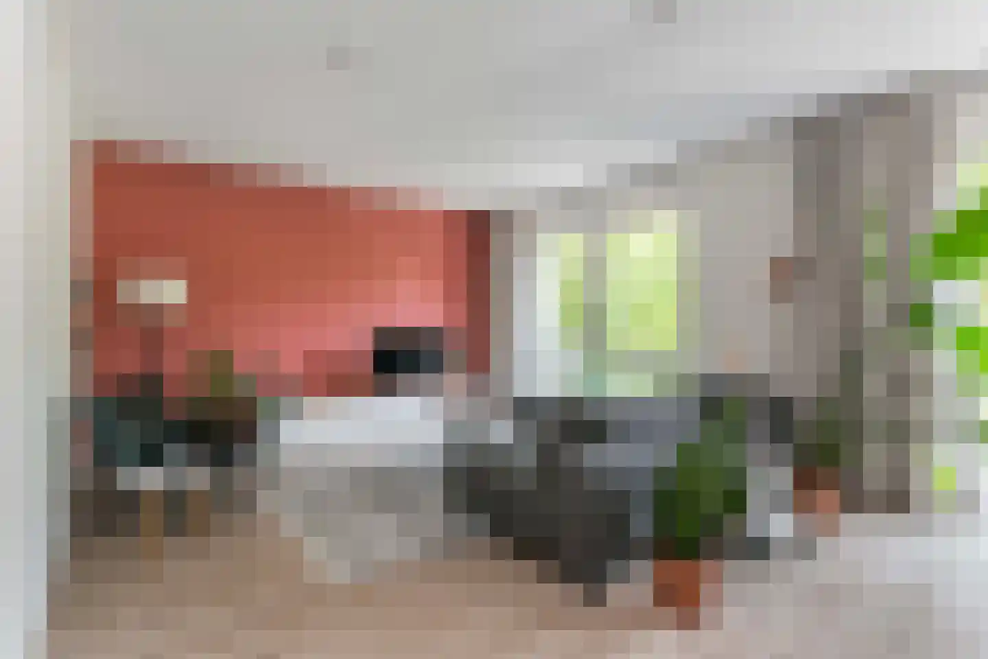 Pretoriadreef 64 Utrecht thumbnail 8