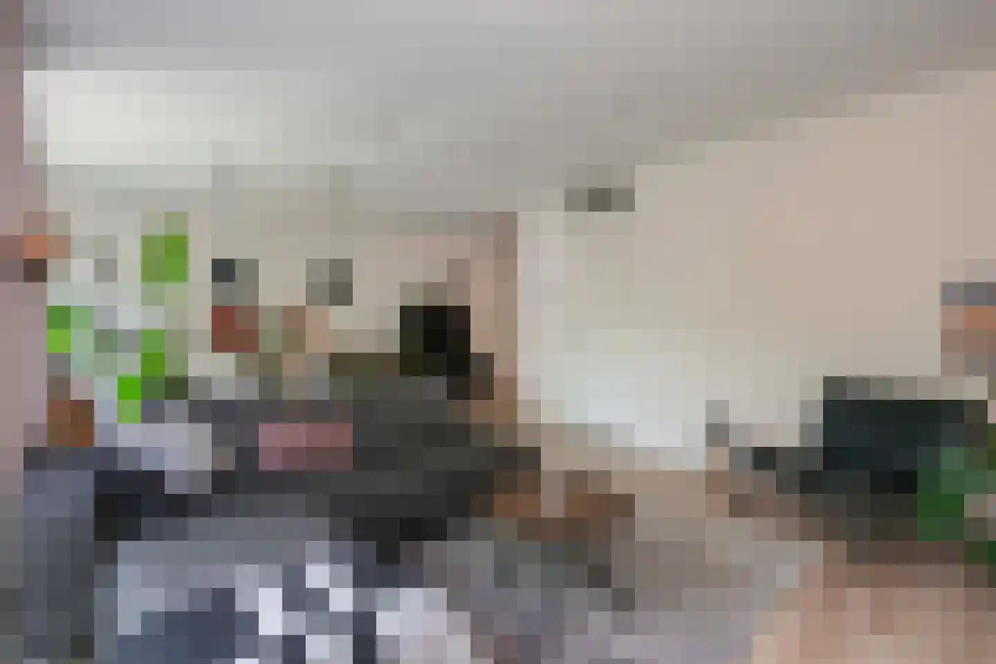 Pretoriadreef 64 Utrecht thumbnail 9
