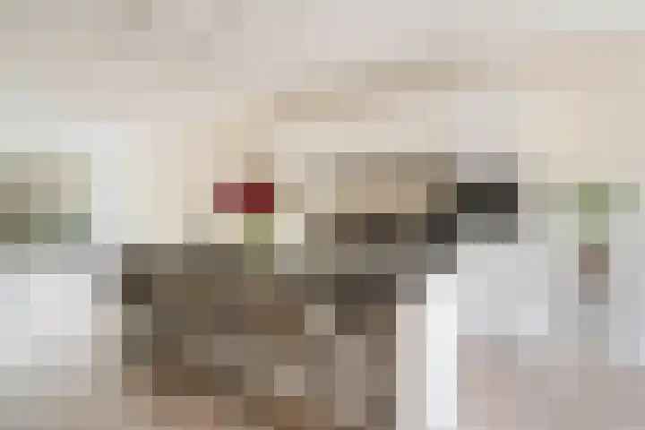 Pretorialaan 109 B 02 Rotterdam thumbnail 10