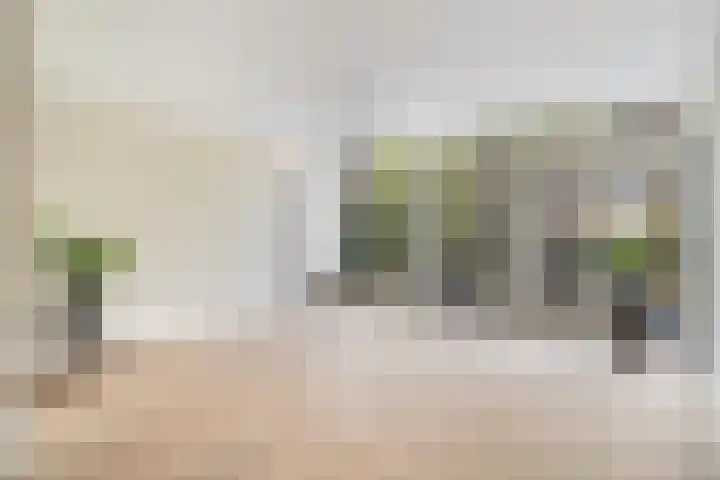 Pretorialaan 109 B 02 Rotterdam thumbnail 11