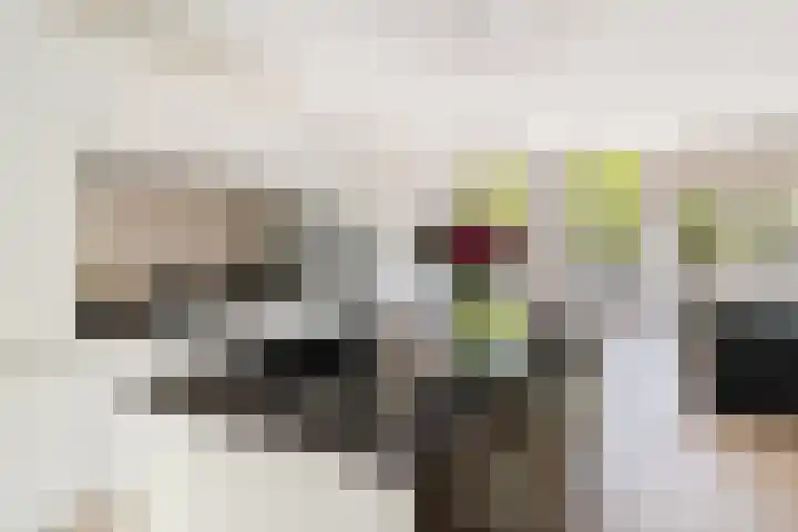 Pretorialaan 109 B 02 Rotterdam thumbnail 12