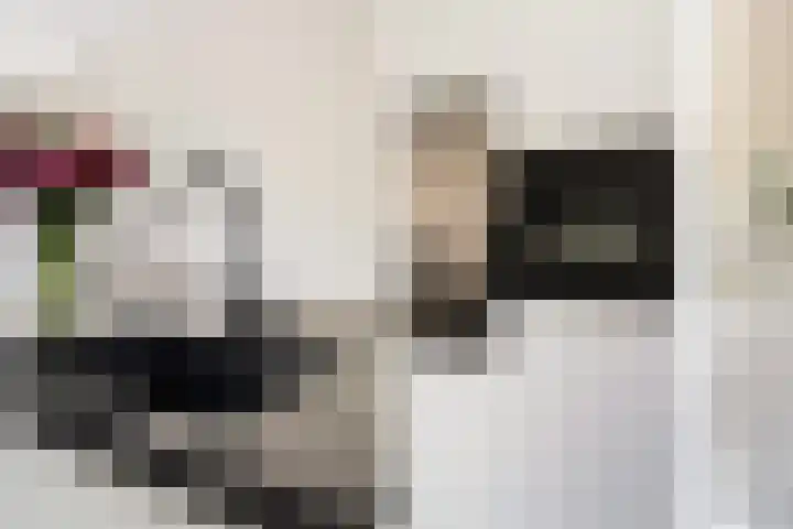 Pretorialaan 109 B 02 Rotterdam thumbnail 13