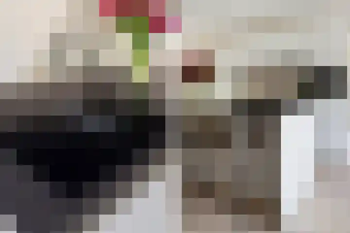 Pretorialaan 109 B 02 Rotterdam thumbnail 14