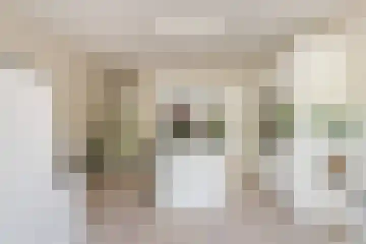 Pretorialaan 109 B 02 Rotterdam thumbnail 15