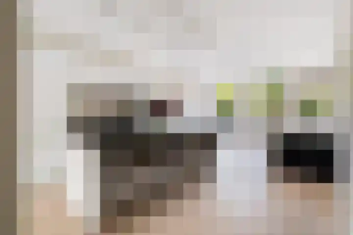Pretorialaan 109 B 02 Rotterdam thumbnail 16