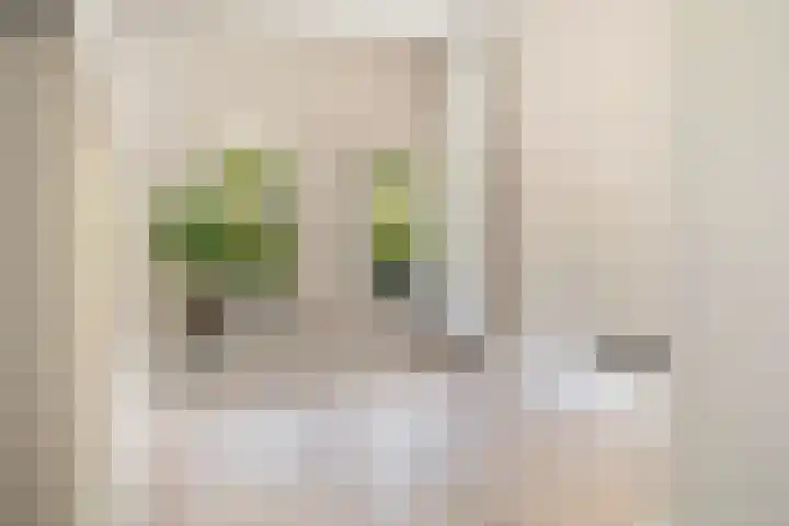 Pretorialaan 109 B 02 Rotterdam thumbnail 17