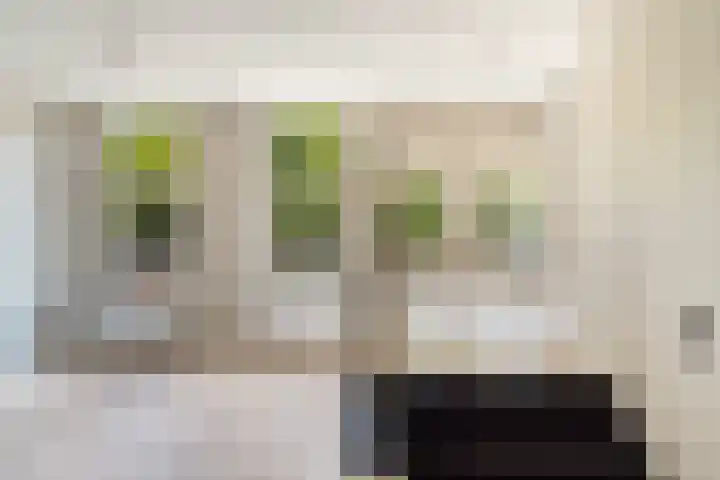 Pretorialaan 109 B 02 Rotterdam thumbnail 18