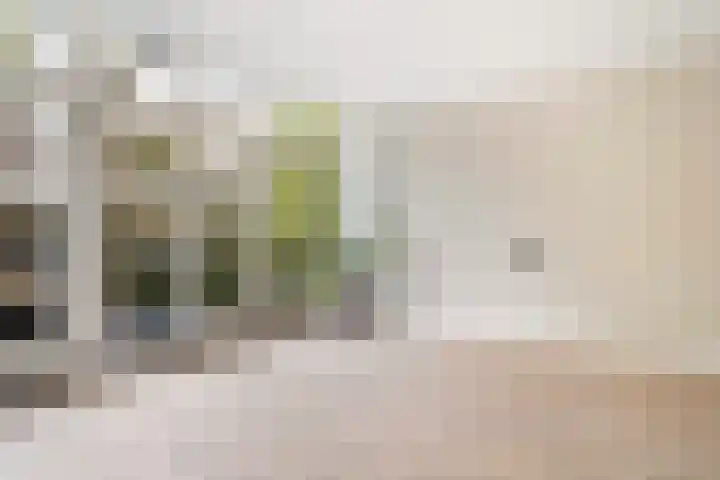 Pretorialaan 109 B 02 Rotterdam thumbnail 21