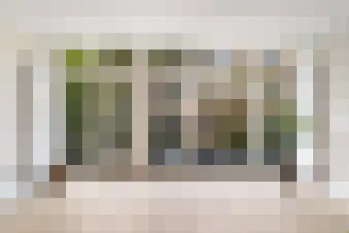 Pretorialaan 109 B 02 Rotterdam thumbnail 22