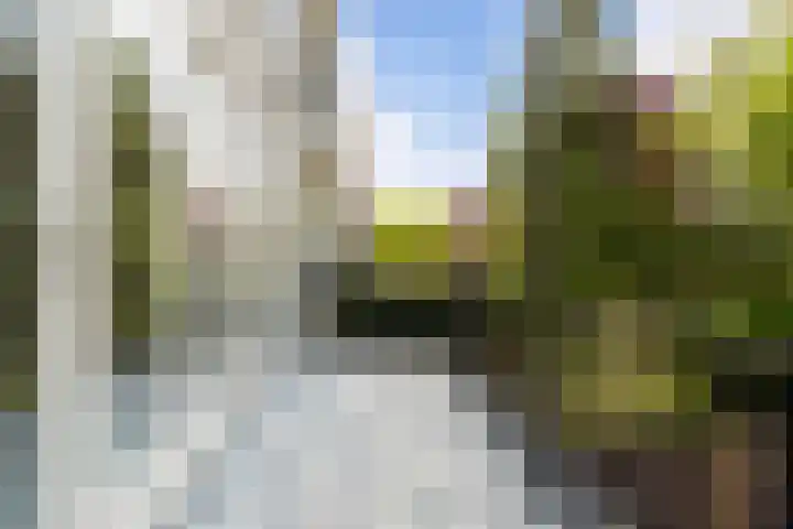 Pretorialaan 109 B 02 Rotterdam thumbnail 23