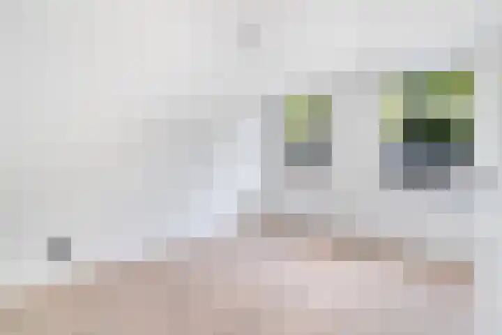 Pretorialaan 109 B 02 Rotterdam thumbnail 25