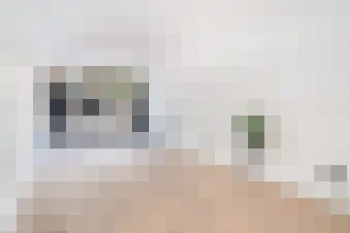 Pretorialaan 109 B 02 Rotterdam thumbnail 29
