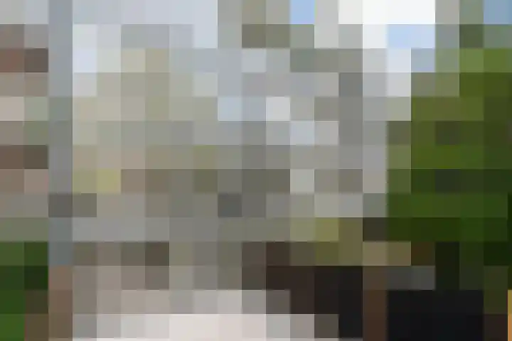 Pretorialaan 109 B 02 Rotterdam thumbnail 33