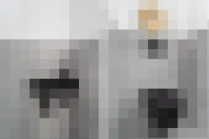 Pretorialaan 109 B 02 Rotterdam thumbnail 36