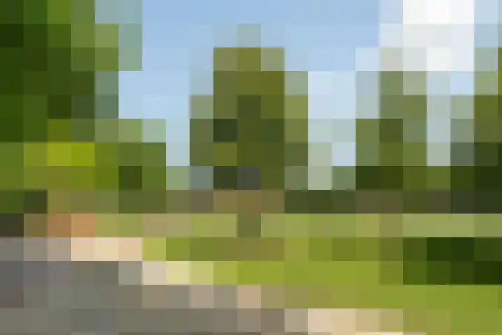 Pretorialaan 109 B 02 Rotterdam thumbnail 39