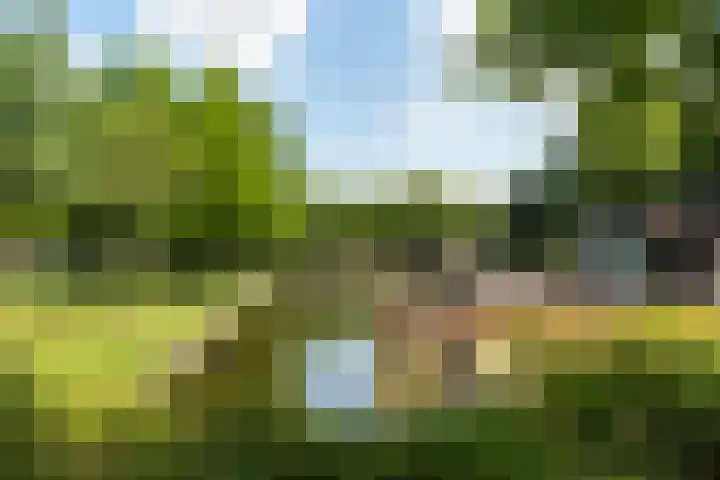 Pretorialaan 109 B 02 Rotterdam thumbnail 40