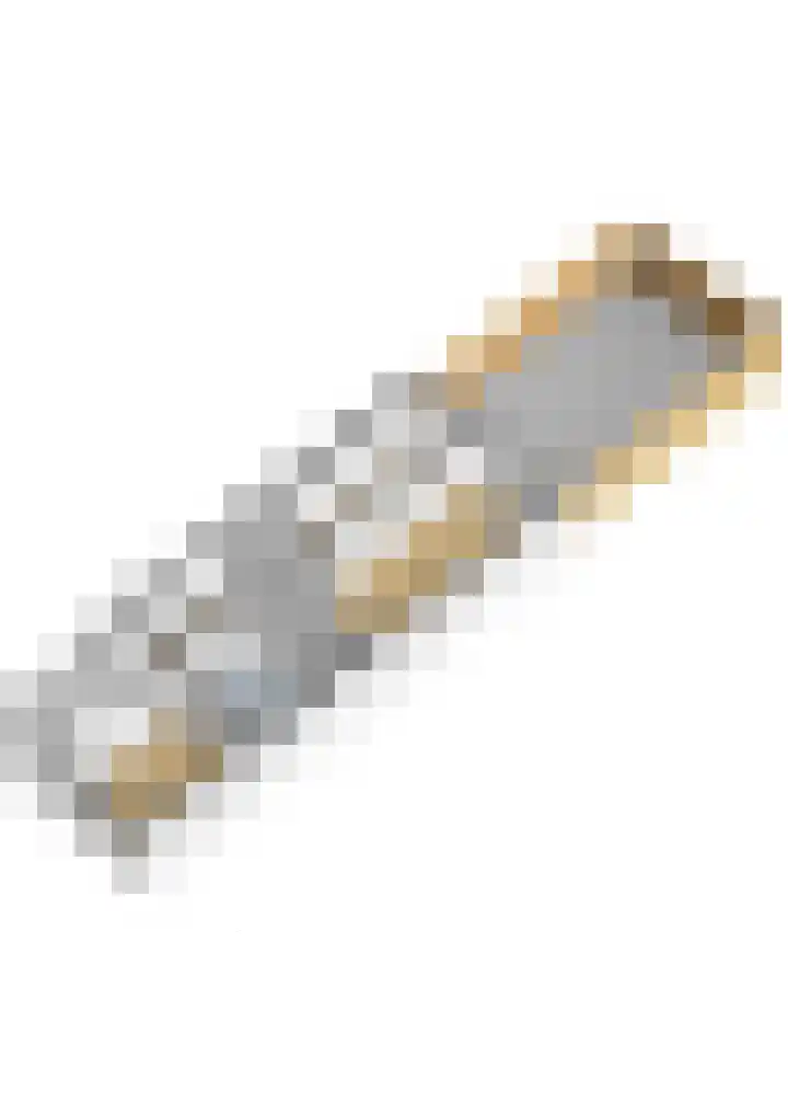 Pretorialaan 109 B 02 Rotterdam thumbnail 46