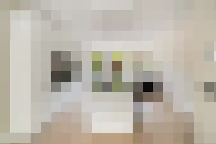 Pretorialaan 109 B 02 Rotterdam thumbnail 47