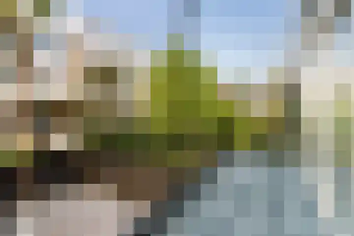 Pretorialaan 109 B 02 Rotterdam thumbnail 5