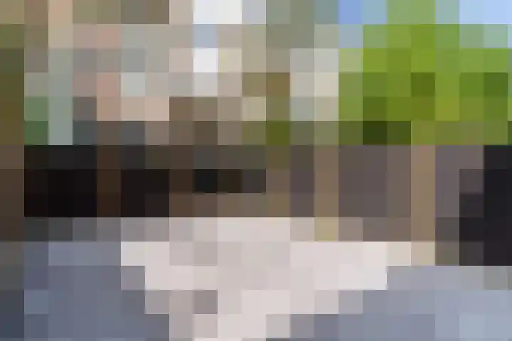 Pretorialaan 109 B 02 Rotterdam thumbnail 6
