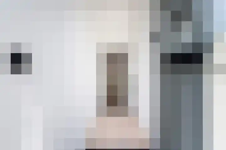 Pretorialaan 109 B 02 Rotterdam thumbnail 8