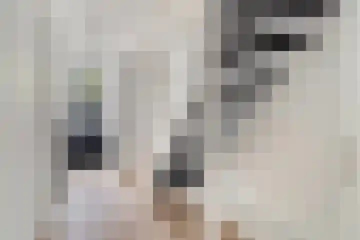 Pretorialaan 109 B 02 Rotterdam thumbnail 9