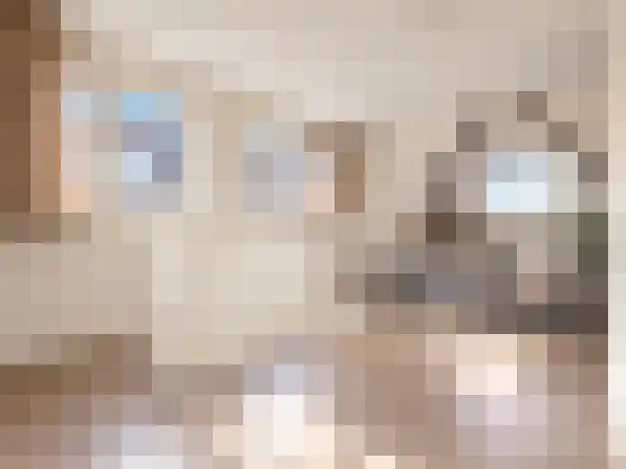 Pretorialaan 24 D Rotterdam thumbnail 6
